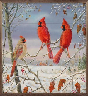 First Snow Cardinals By Terry Doughty